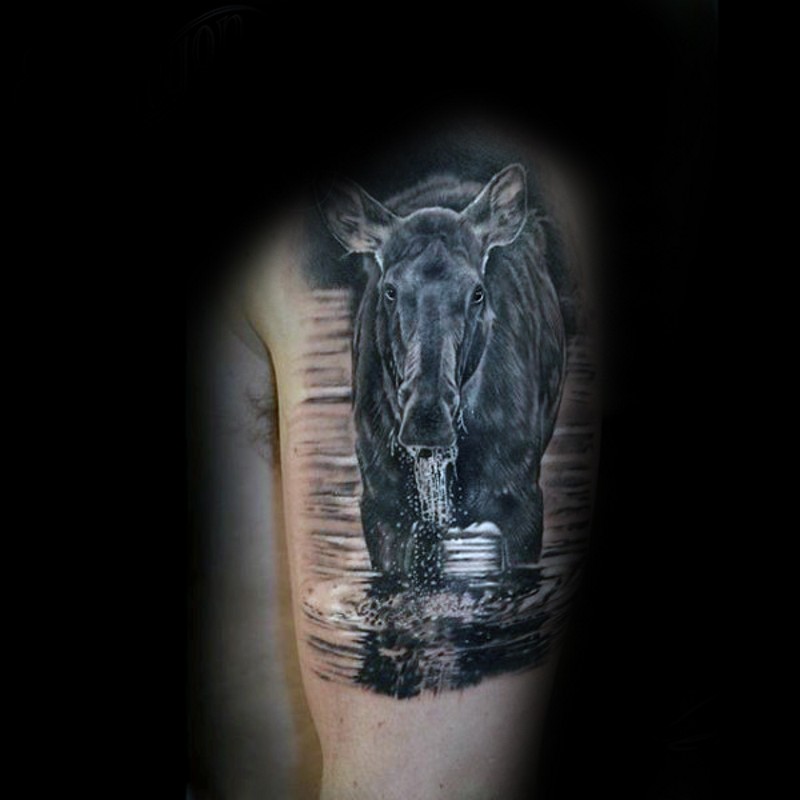 Real photo style black and white wild horse drinking water tattoo on shoulder