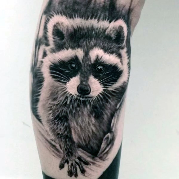 Realism style arm tattoo of very detailed raccoon