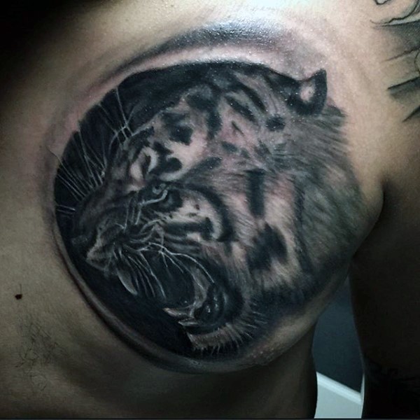 Realism style black and and white chest tattoo of tiger head