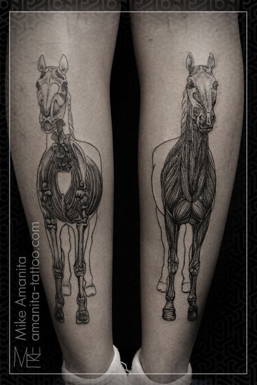 Realism style black ink leg tattoo of horse skeleton with muscles