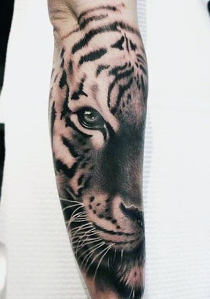 Realism style black ink tiger face tattoo on forearm