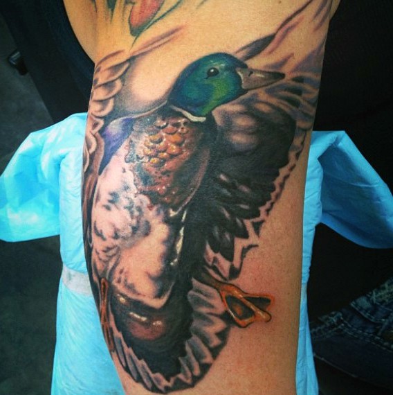 Realism style colored arm tattoo of flying wild duck
