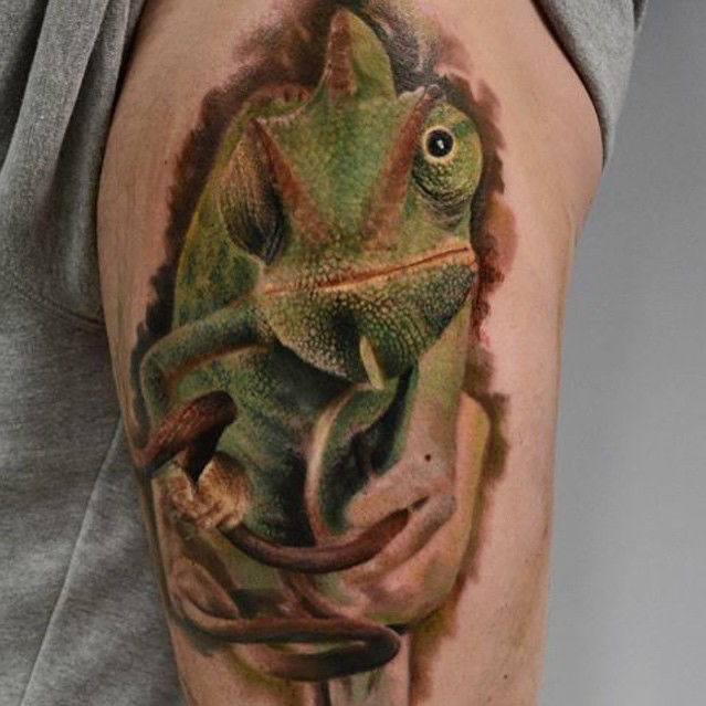 Realism style colored arm tattoo of natural lizard