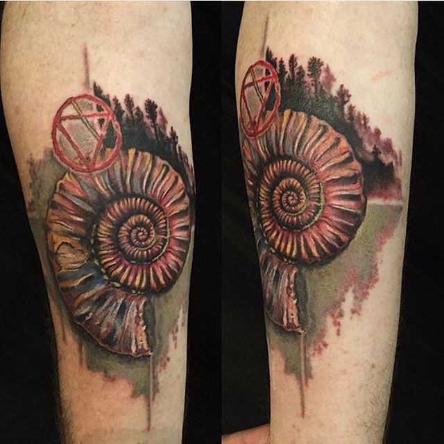 Realism style colored arm tattoo of old shell with bloody circle
