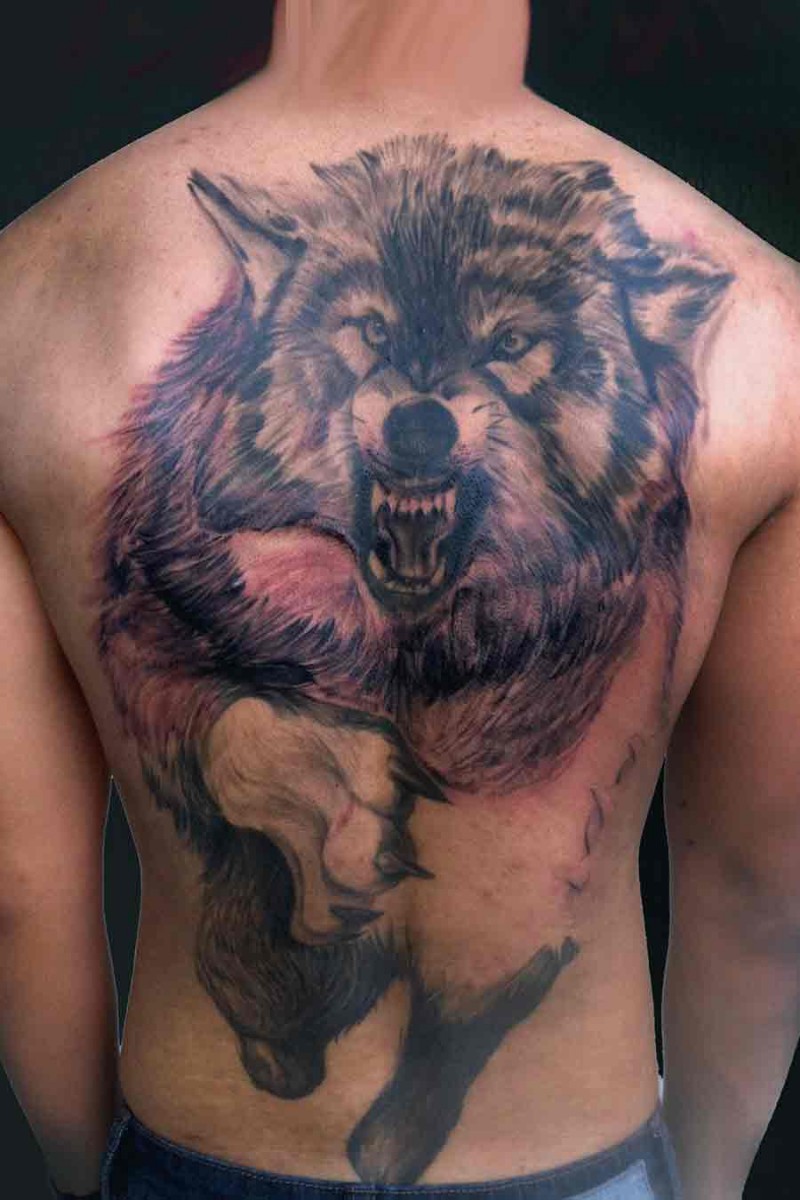 Realismus Stil farbiges Rücken Tattoo von unglaublich aussehendem bösem Werwolf