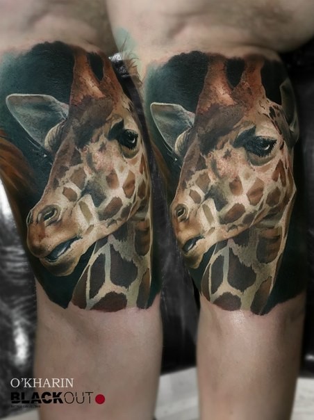 Realism style colored biceps tattoo of giraffe head