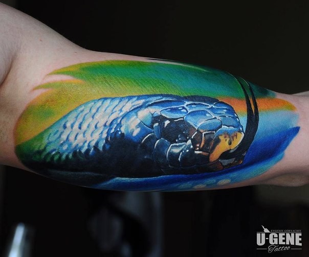 Realism style colored biceps tattoo of cool sname