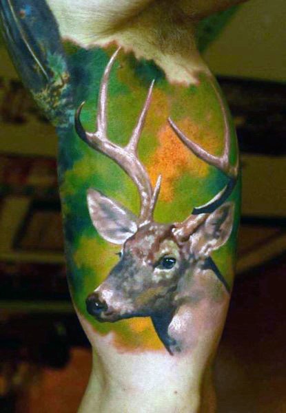 Realism style colored biceps tattoo of very detailed deer