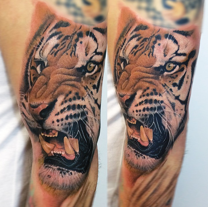 Realism style colored biceps tattoo of very detailed roaring tiger