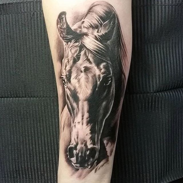 Realism style colored big horse tattoo on forearm
