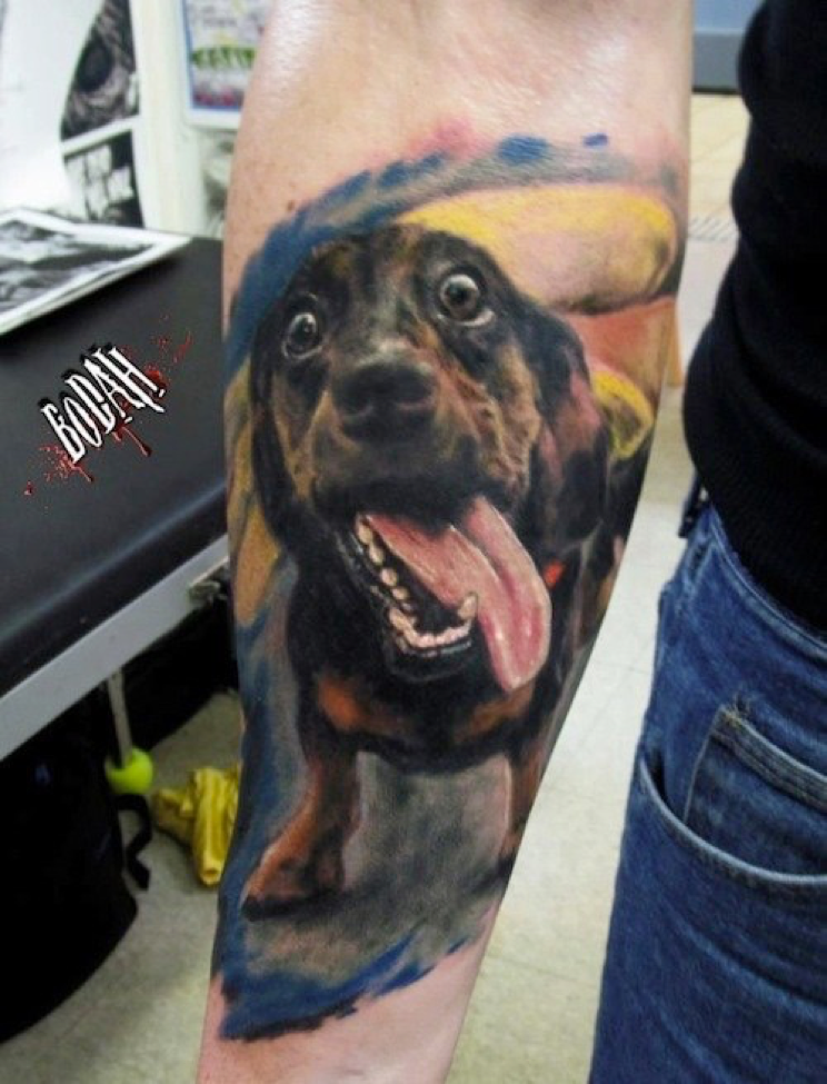 Realism style colored forearm tattoo of beautiful dog