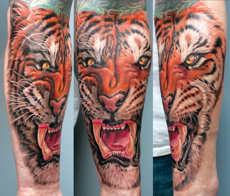 Realism style colored forearm tattoo of large roaring tiger