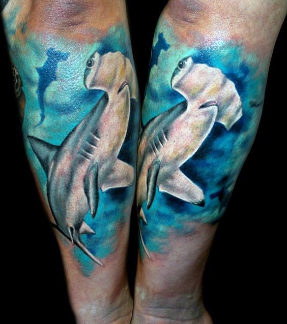 Realism style colored forearm tattoo of hammerhead shark