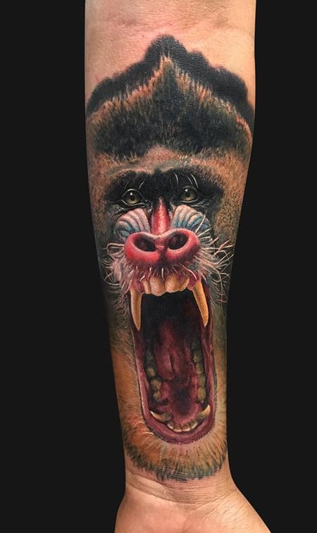 Realism style colored forearm tattoo of big roaring monkey