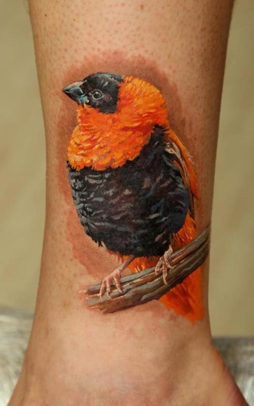 Realism style colored leg tattoo of beautiful bird