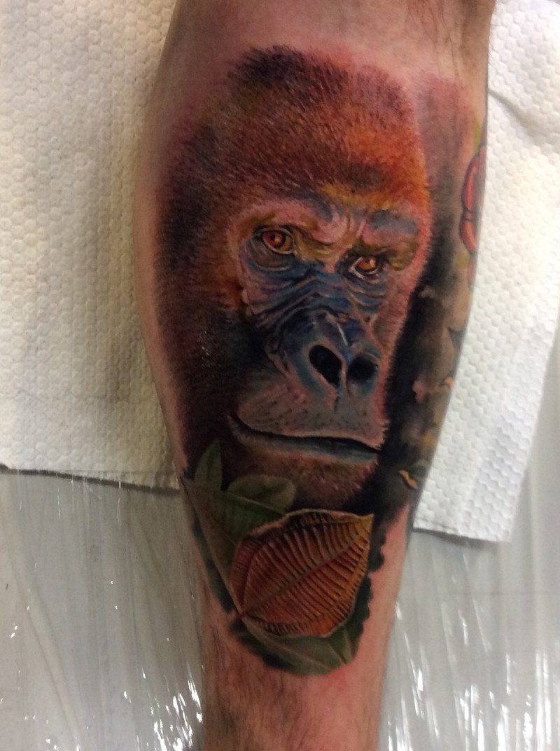 Realism style colored leg tattoo of big monkey with leaves