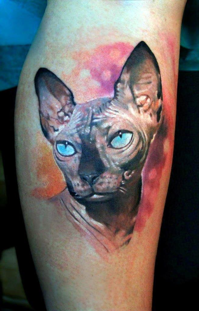 Realism style colored leg tattoo of Sphinx cat