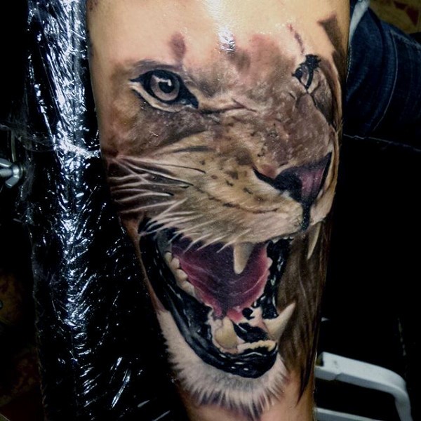 Realism style colored lion head tattoo on arm