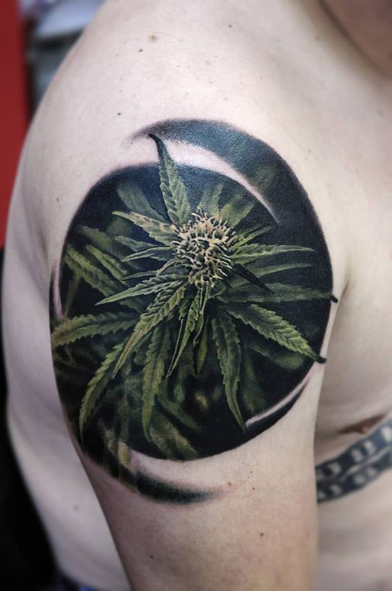 Realism style colored shoulder tattoo of Cannabis plant