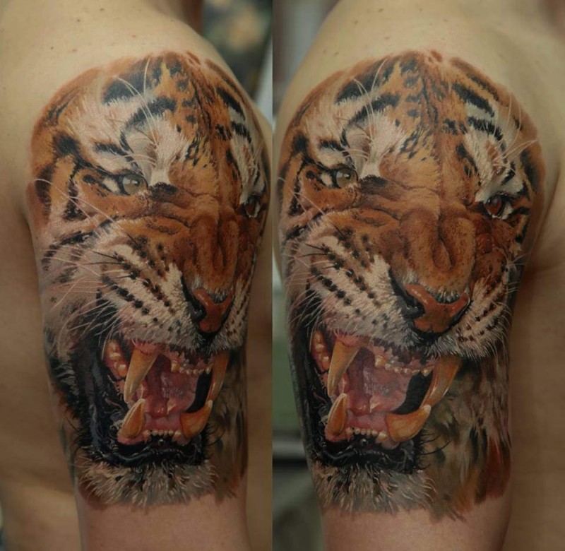 Realism style colored shoulder tattoo of roaring tiger