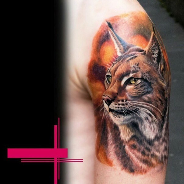 Realism style colored shoulder tattoo of wild cat