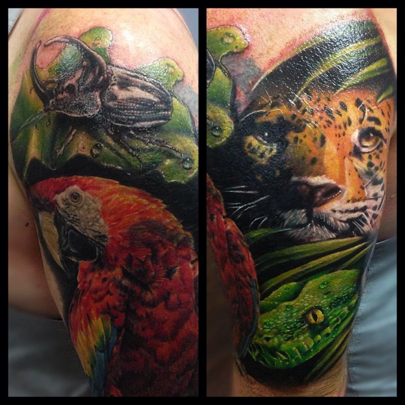 Realism style colored shoulder tattoo of various animals