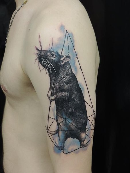 Realism style colored shoulder tattoo of cute rat with geometrical picture