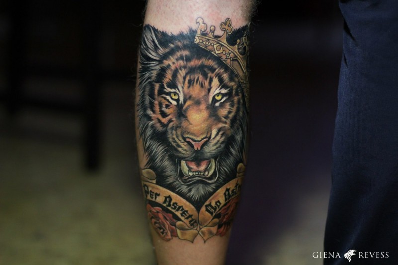 Realism style colored tattoo of tiger with crown and lettering