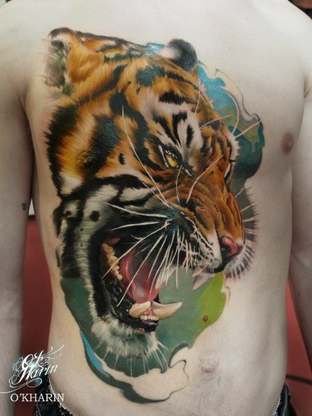 Realism style colorful chest and belly tattoo of roaring tiger
