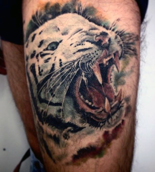 Realism style colorful thigh tattoo of white tiger