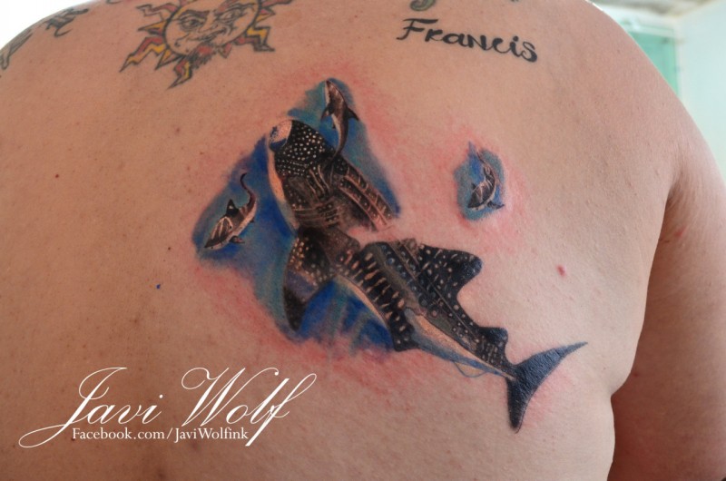 Realism style large colored tiger shark tattoo on back with lettering