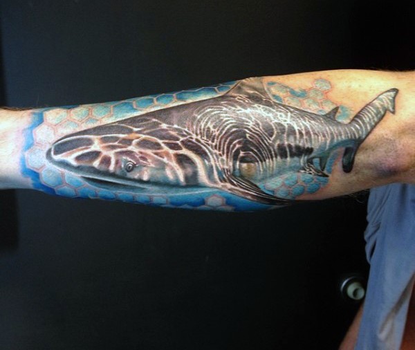 Realismus Stil sehr detailliertes farbiges Hai Tattoo am Unterarm