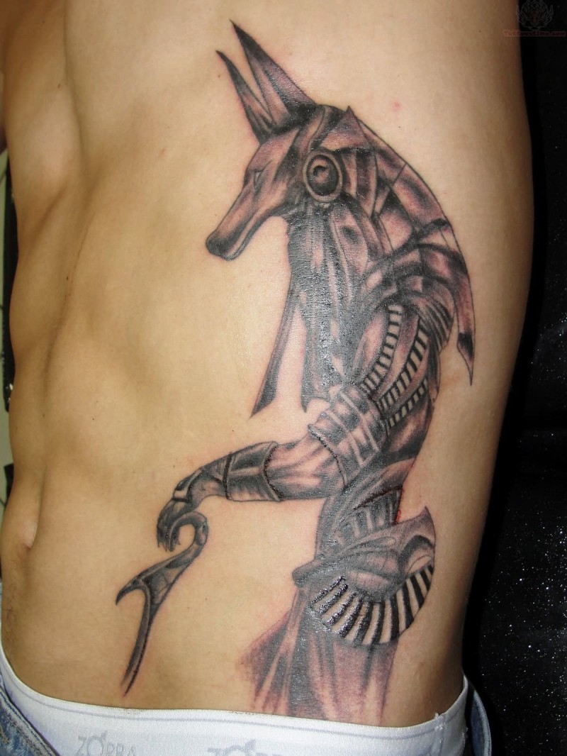 Realistic anubis tattoo on ribs