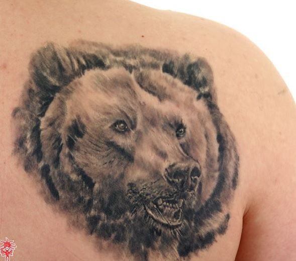 Realistic bear head tattoo on shoulder blade