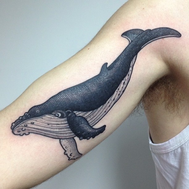 realistico squalo blu e nero tatuaggio mezza manica