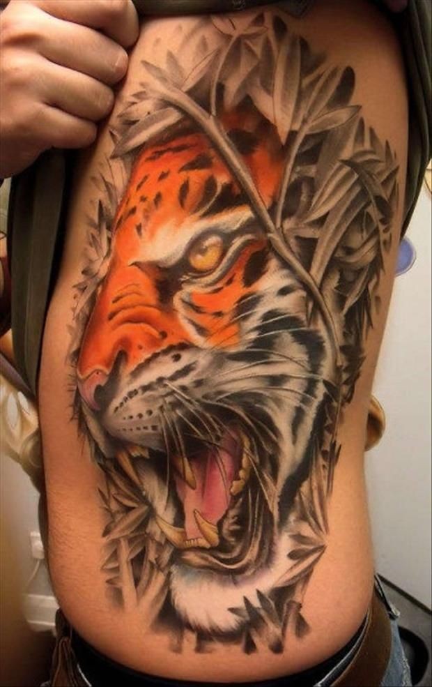 Tattoo mit realistischem buntem Tiger in einem Dickicht an Rippen