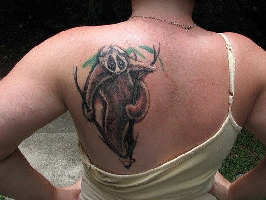 realistico colorato bradipo tatuaggio sulla schiena
