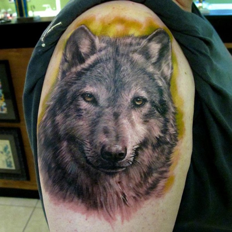 Realistic detailed wolf tattoo on shoulder