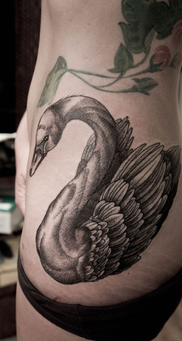 Realistic gray-ink swan tattoo on side