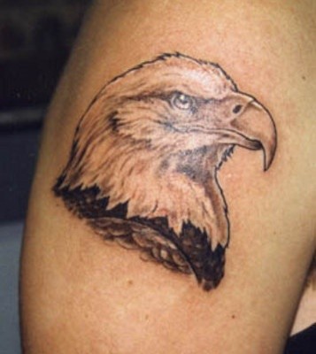 Realistic head of an eagle tattoo