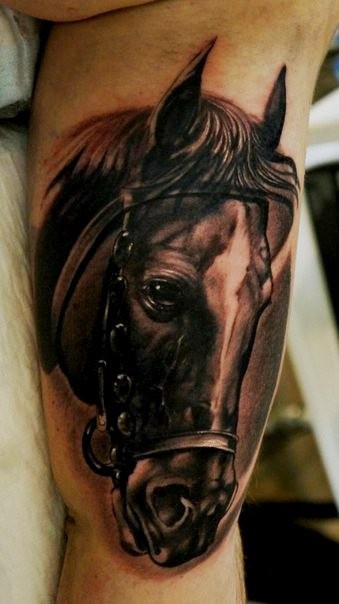 Realistic horse portrait tattoo on arm