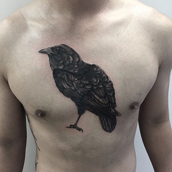 Realistische lebensechte in mittlerer Größe schwarze Krähe detailliertes Tattoo an der Brust