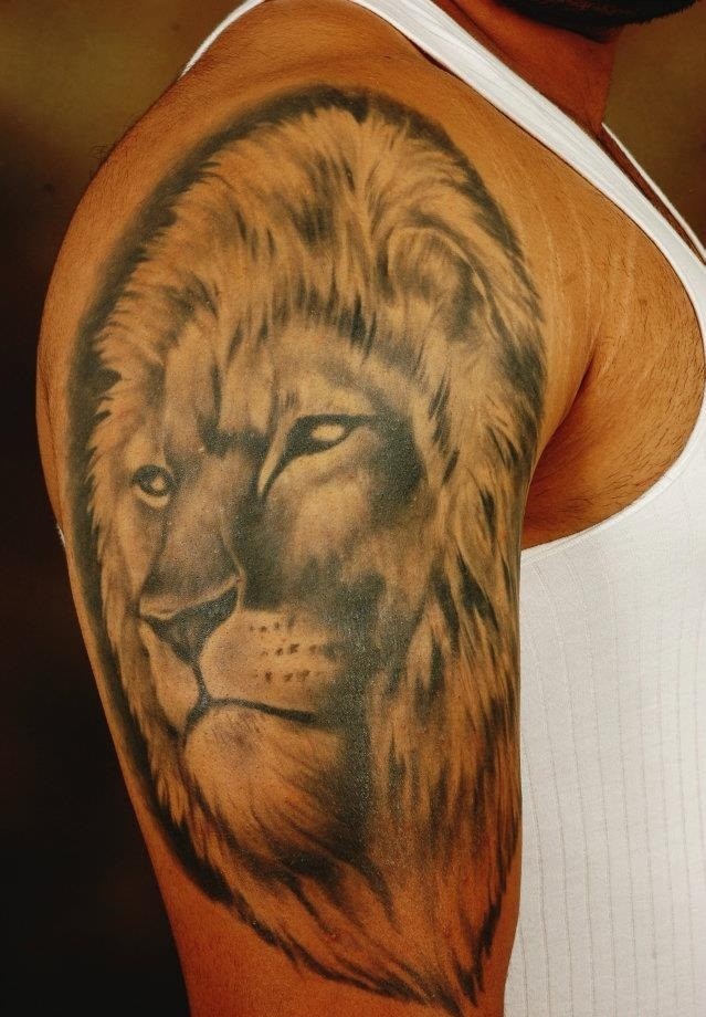 Realistic lion head tattoo on shoulder for men