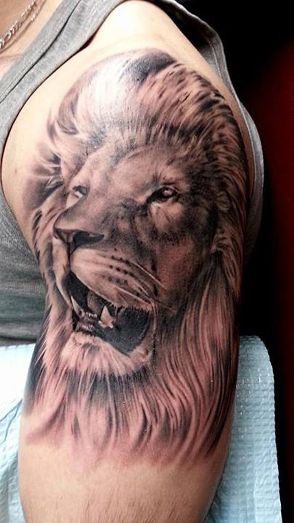 Realistic lion tattoo on half sleeve