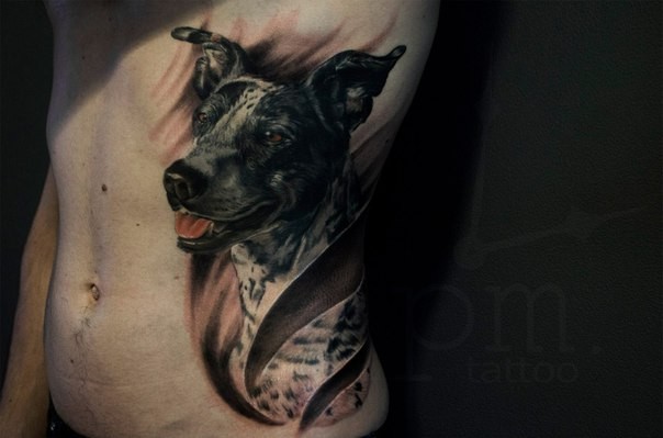 Realistisch aussehendes farbiges Seite Tattoo mit Hundeportrait