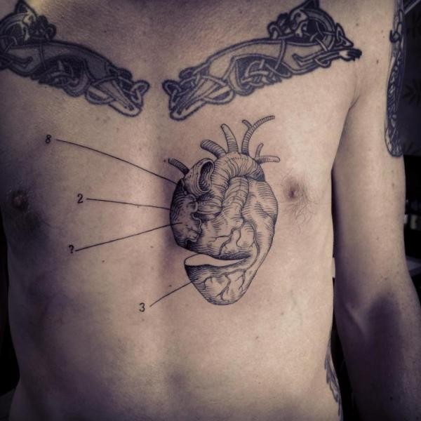 Realistic looking engraving style chest tattoo of human heart with lines and numbers