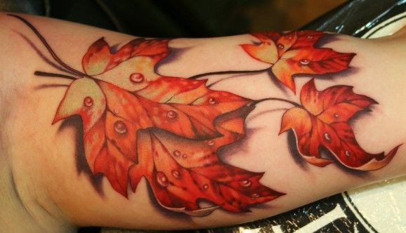 Realistic maple leaf tattoo on half sleeve by Teresa Sharpe