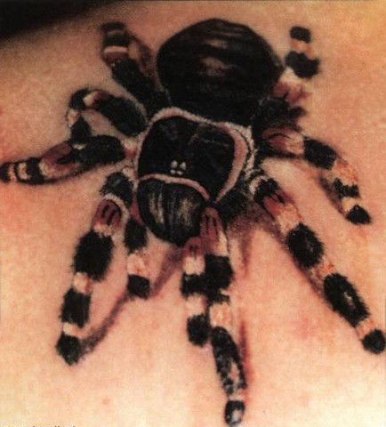 Realistic tarantula spider tattoo