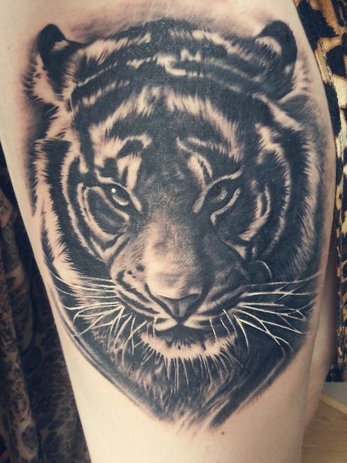 Tatuaje  de tigre amenazante, gris y negro