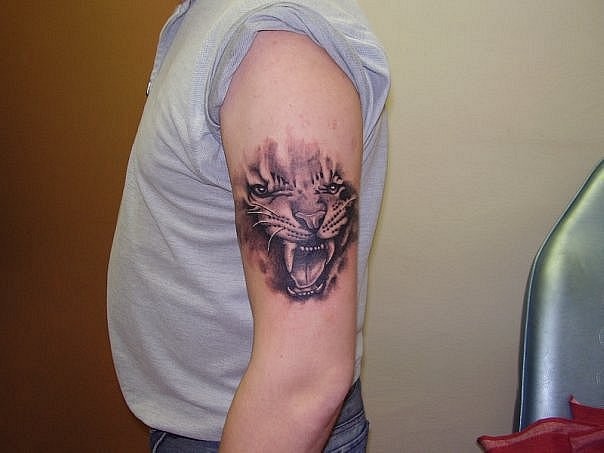 incredibile piccola testa di tigre da sotto pelle nero e bianco tatuaggio su spalla